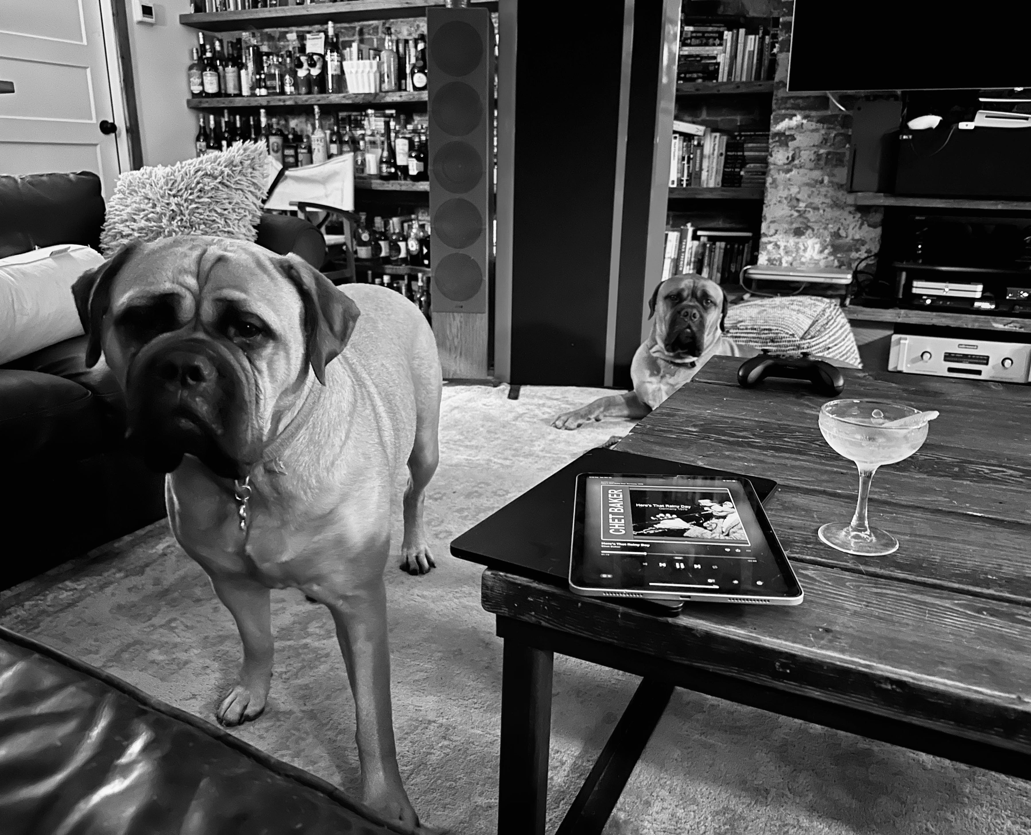 A man in a tailored suit, enjoying a scotch, displaying a classic fashion style, representing elegance and appreciation for finer things.