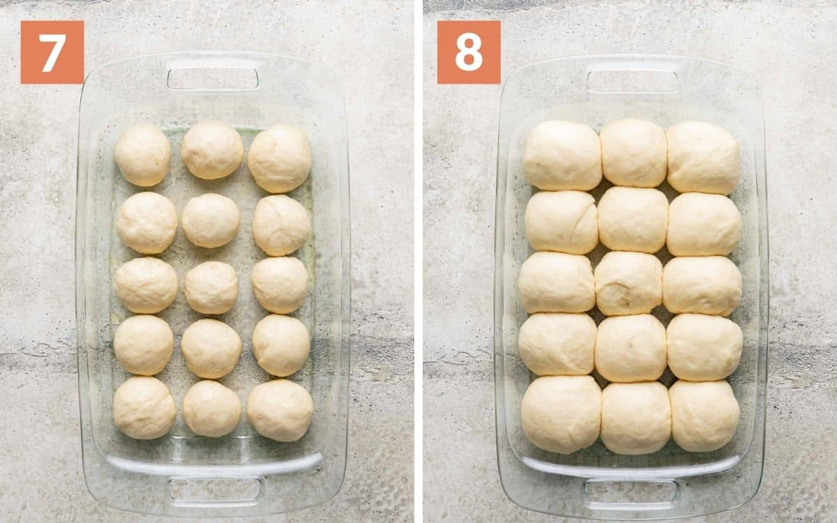 Close-up of shaped dinner rolls arranged in a baking dish, ready for their second rise, showcasing the smooth dough and even spacing.