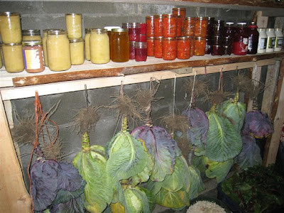 Old fashioned root cellar interior with shelves filled with canned goods and produce, showcasing a variety of preserved foods