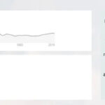 Historical analysis of the word