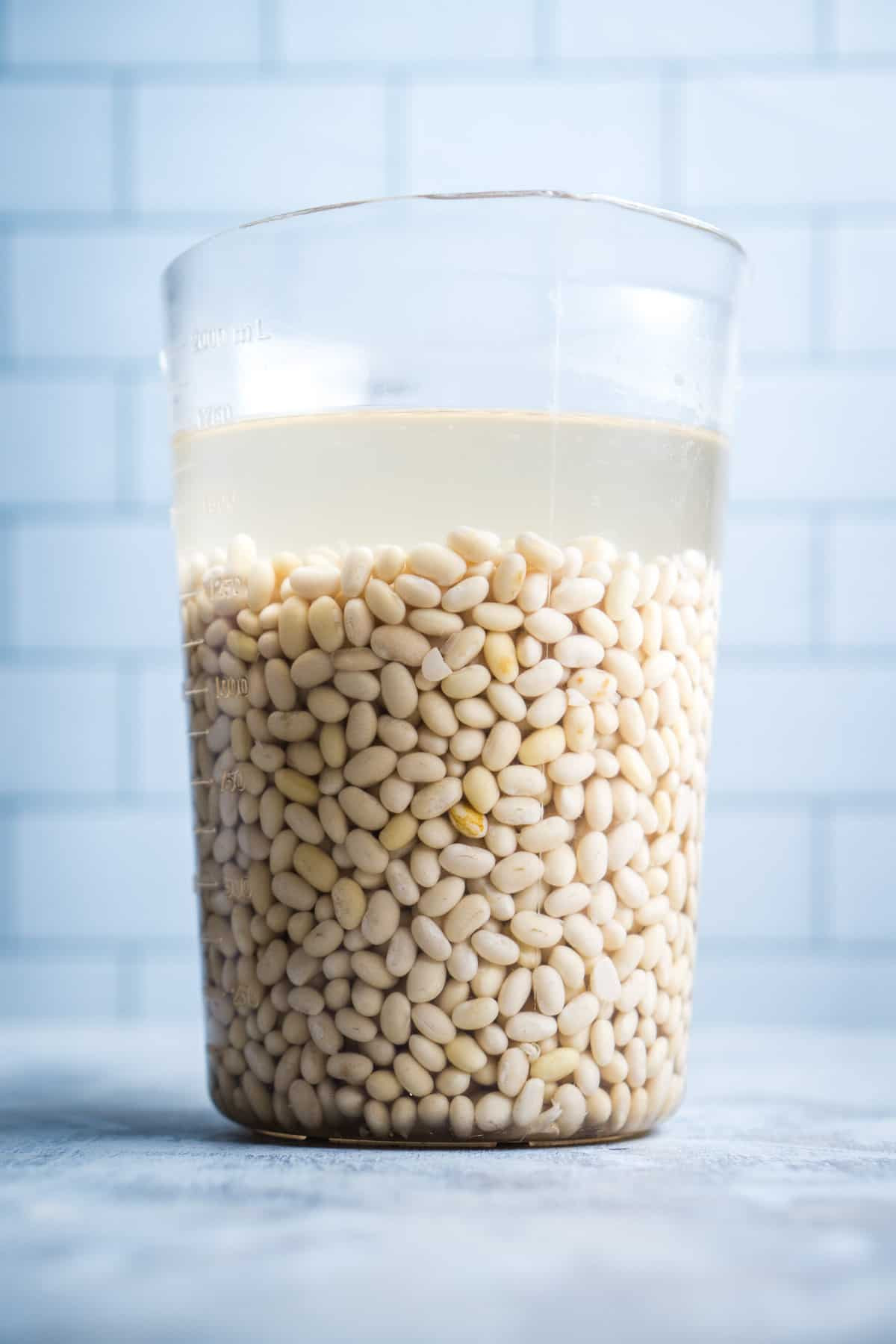Navy beans soaking in large pitcher for grandma's ham and bean soup