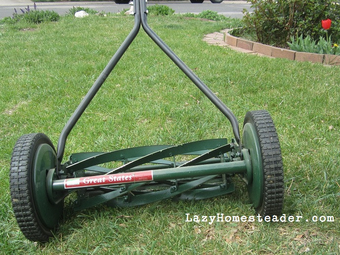 A collection of old fashion lawn mowers, showcasing different designs and models from various eras.