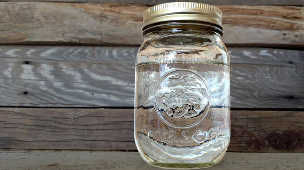 moonshine stills