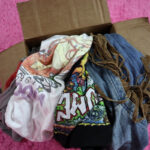 thrift vintage fashion mystery t-shirt box review