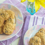 Assortment of Old Fashioned Raisin Cookies